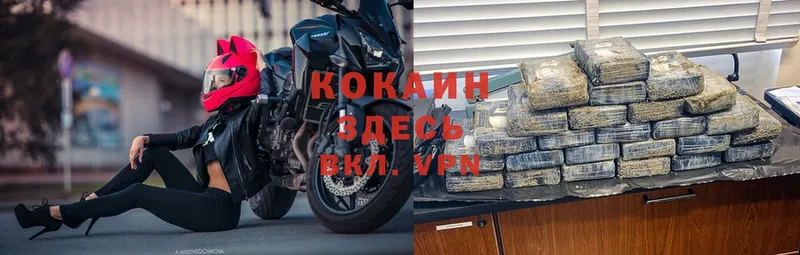 КОКАИН FishScale  где купить   Циолковский 